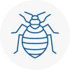Bed Bug Extermination In Streatham